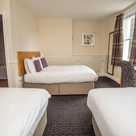 The George Hotell 3*